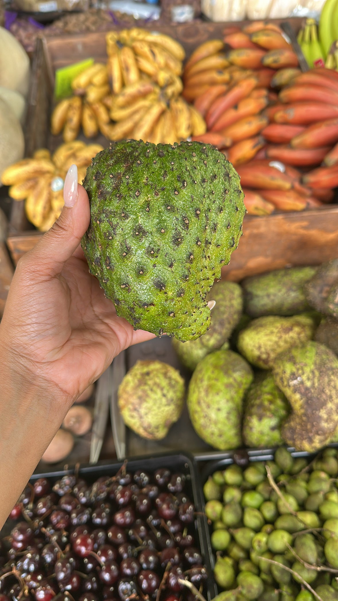 Soursop Fruit Extract (Guanabana)