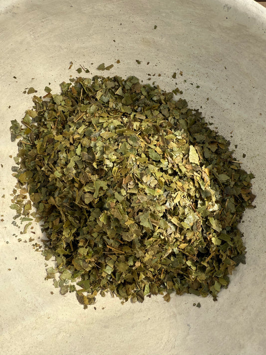 Soursop (Annona Muricata) Anti Cancer/Immune Booster/ Relaxing