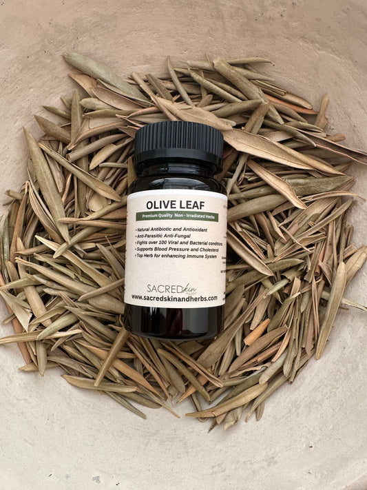 Olive Leaf Supplements (Natural Antibiotic, Blood Pressure Support & More)