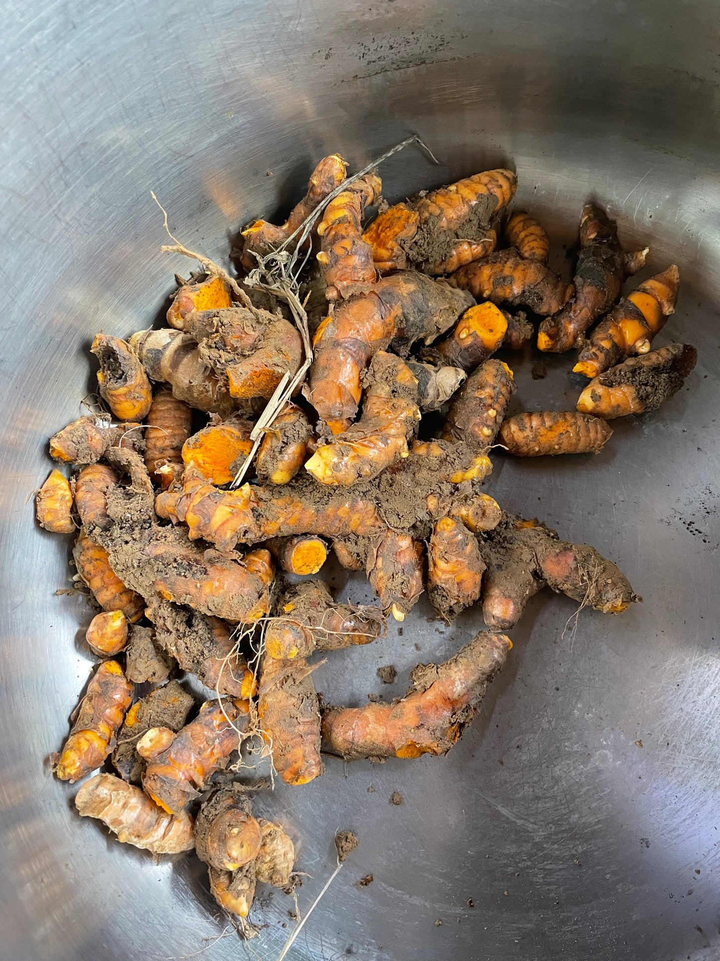Supreme Turmeric (Inflammation Support)